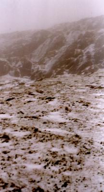 Pyg Track